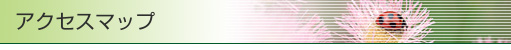 ANZX}bv